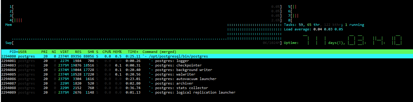 htop.png